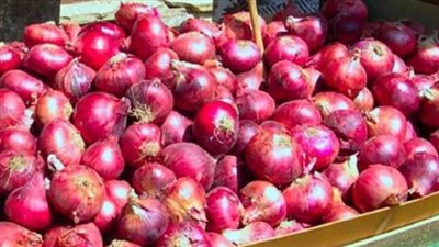 الجريدة الرسمية تنشر قرار استمرار حظر تصدير البصل