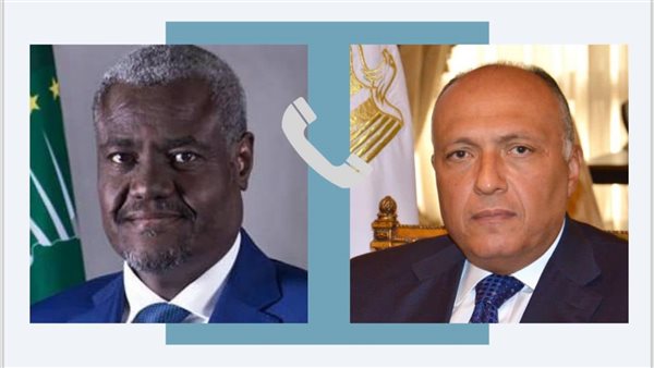 وزير الخارجية يجري