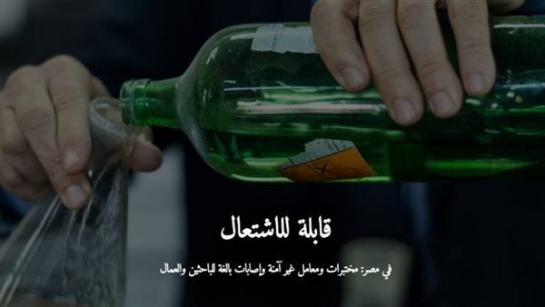 القاهرة 24