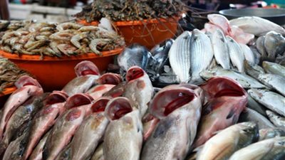 أسعار السمك اليوم الأحد 7 يونيو 2020 في الأسواق المصرية