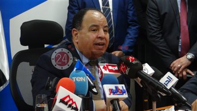 وزير المالية: ميكنة كافة الإقرارات الضريبية مطلع 2021