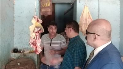 في شهر.. الزراعة تضبط أكثر من 85 طن لحوم ودواجن وأسماك فاسدة