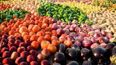 بسبب كورونا.. انخفاض الصادرات الزراعية بنسبة 10% عن العام الماضي