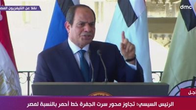 السيسي لشيوخ القبائل الليبية: “هاتوا شبابكم ندربهم ونجهزهم ونسلحهم لحماية أرض ليبيا”