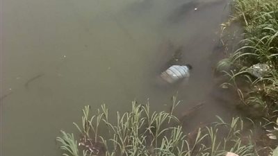 العثور على جثة سمكري في مياه بحر مويس بـ الشرقية