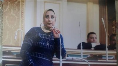 مقترح برلماني لإنشاء شركة قابضة لاستثمار أموال المصريين العائدين من الخارج