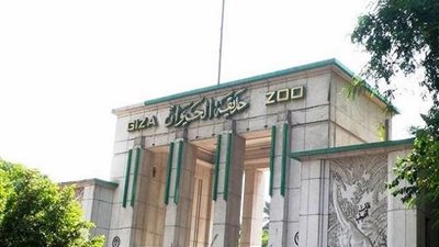 حديقة حيوان الجيزة تكشف موقفها من الغلق بعد إلغاء قرار الحظر بسبب “كورونا”