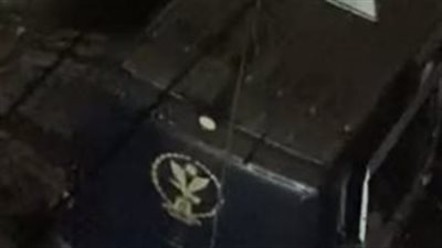 وجدتها تشاهد أفلامًا إباحية.. سيدة تنهي حياة ابنتها المراهقة بدار السلام | صور