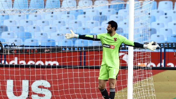 محمد الشناوي 