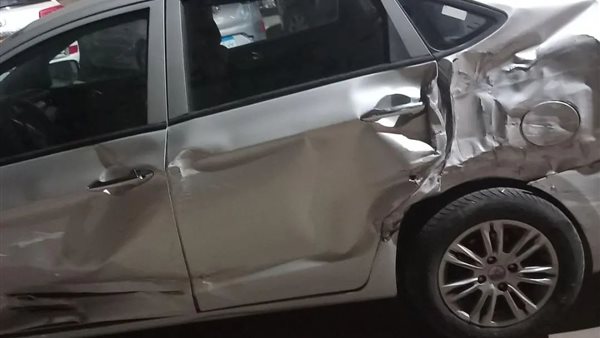 الفنانة دينا المصري