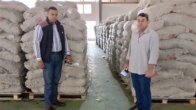 ضبط محطتين للحاصلات الزراعية لتصرفهما في 891 طن تقاوي بطاطس بالبحيرة