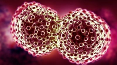 كيف يؤدي الأرق للإصابة بالسرطان؟.. دراسة تجيب