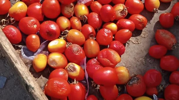 أغذية فاسدة