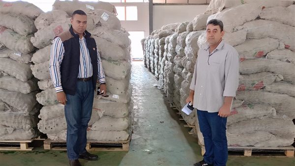 ضبط 891 طن تقاوي