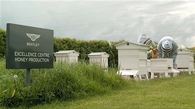 بنتلي تستعد لاتباع بورشه في تمديد عصر محركات الاحتراق الداخلي