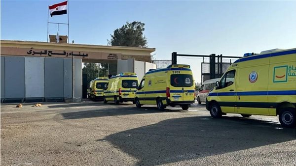 سيارات الإسعاف 