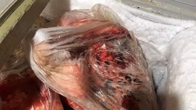 تفاصيل ضبط طن دواجن غير صالحة للاستهلاك الآدمي بالشرقية