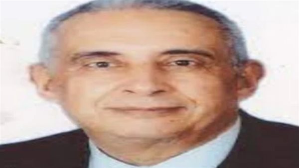 محمد حسن عبد العزيز