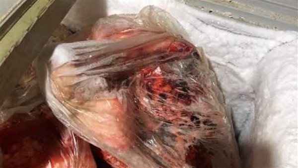 جانب من المضبوطات