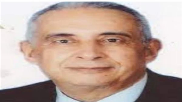 محمد حسن عبد العزيز