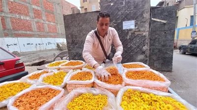 بكالوريوس تجارة وواقف على عربية خشب: مصدر رزقي الوحيد والشغل مش عيب| صور وفيديو