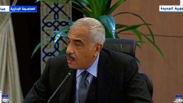 هشام طلعت مصطفى