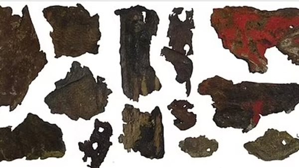 جلد مصنوع من البشر