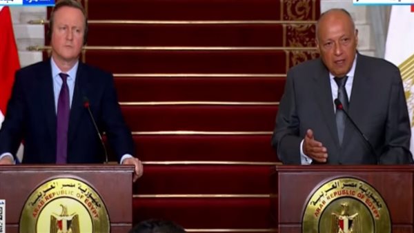 شكري وكاميرون