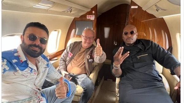 نجيب ساويرس والفنان