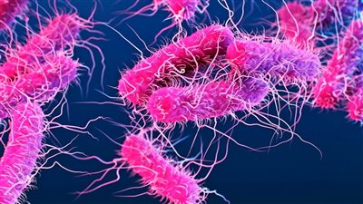 بعد ظهورها في بريطانيا.. تعرف على عدوى شيغيلا وأعراض الإصابة بها