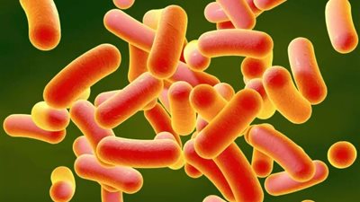 بريطانيا تحذر من ارتفاع أعداد الإصابة بعدوى الشيغيلا