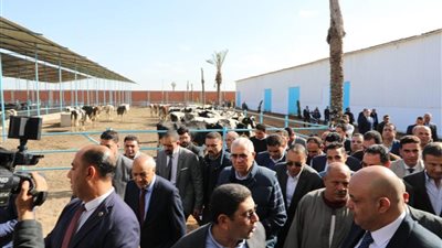 وزير الزراعة: مبادرة احلم بالشرقية تأتي تنفيذا لتوجيهات السيسي لتحسين سلالات الماشية 
