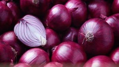 وزير الصناعة يستثني بعض الشركات من حظر تصدير البصل