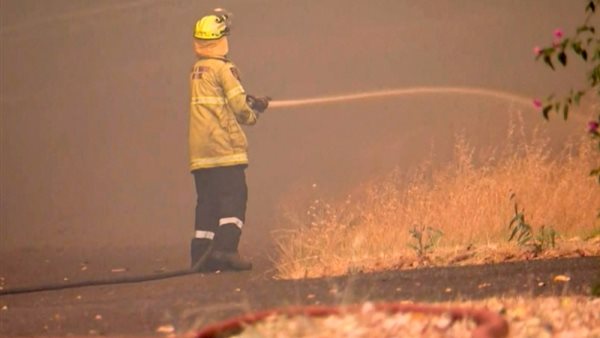 حرائق الغابات 