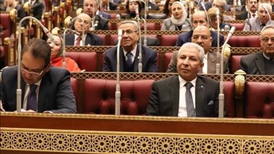 الشيوخ يرفض رفع الحصانة عن نائب في دعوى شيكات بدون رصيد