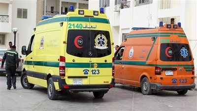 إصابة 9 أشخاص في انقلاب ميكروباص بالدقهلية 