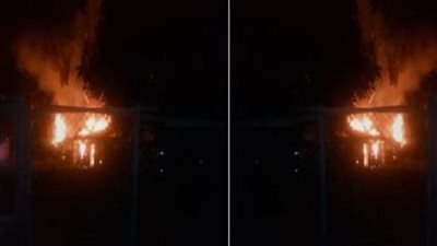 نفوق 500 ديك رومي في حريق مزرعة دواجن بالغربية 