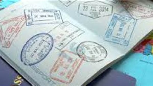 التجنس بجنسية أخرى