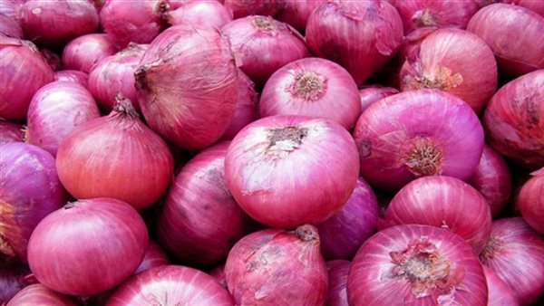 سعر البصل اليوم