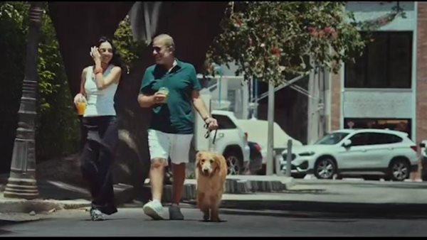 شريف منير وسلمى أبو