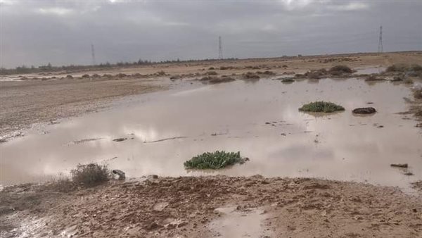 سقوط أمطار في مطروح