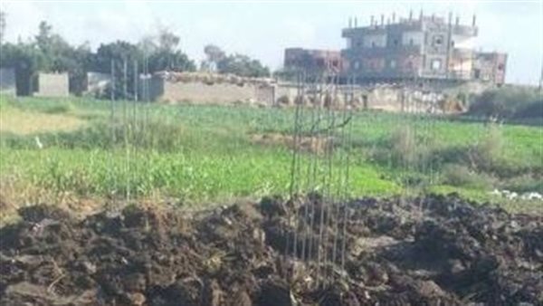 أرض زراعية - تعبيرية