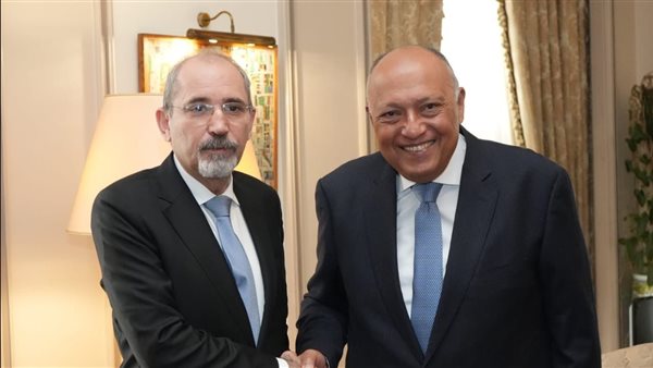 وزيرا خارجية مصر