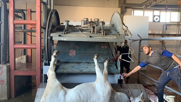 زيارة وزير التنمية