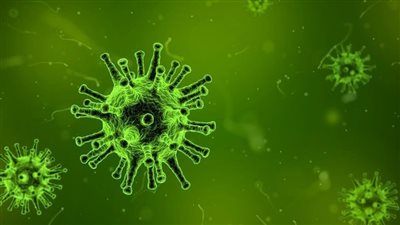 عقب إيجابية نتائجهما.. الصحة تسجل إصابتين بـ متحور كورونا الجديد│ بث مباشر 