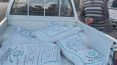 تموين الإسكندرية: ضبط ثلاجة لحيازتها كمية من اللحوم منتهية الصلاحية 