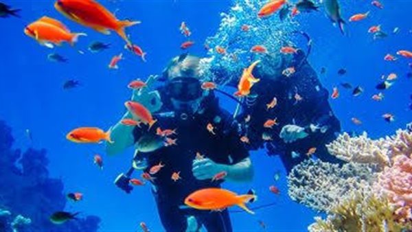 الغوص في دهب 