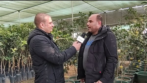 تصدر الشتلات في قرية