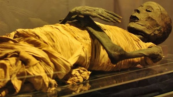 مومياء مصرية 