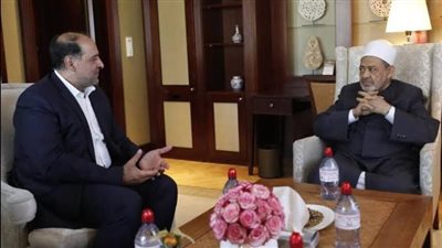 أهم جولات شيخ الأزهر الخارجية في 2023.. لقاء رئيس ألمانيا الأبرز